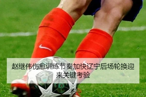 赵继伟伤愈训练节奏加快辽宁后场轮换迎来关键考验（leyu）